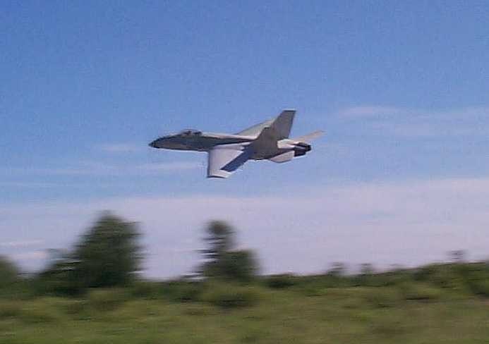 My love of flight