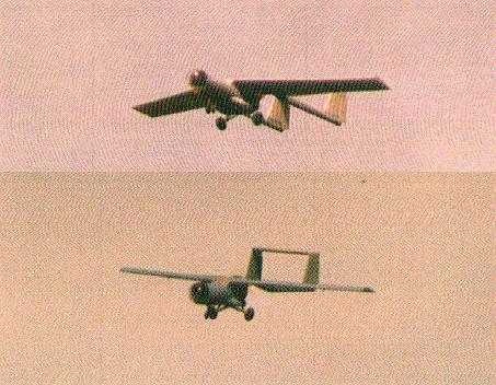 The 12 foot wing span CAE RPV