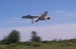 My love of flight